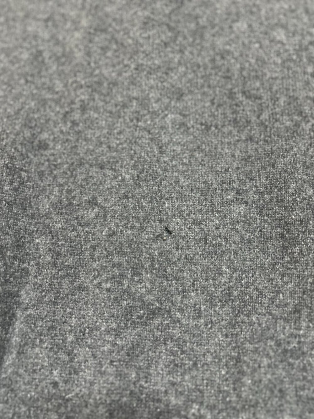 Woods & Gray Long-Sleeve Polo; 100% Wool; Dry Clean Only; Men's XL; Dark Gray - Picture 11 of 11